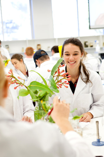 UQ Green Labs Program