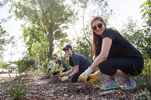 Students planting seedlings