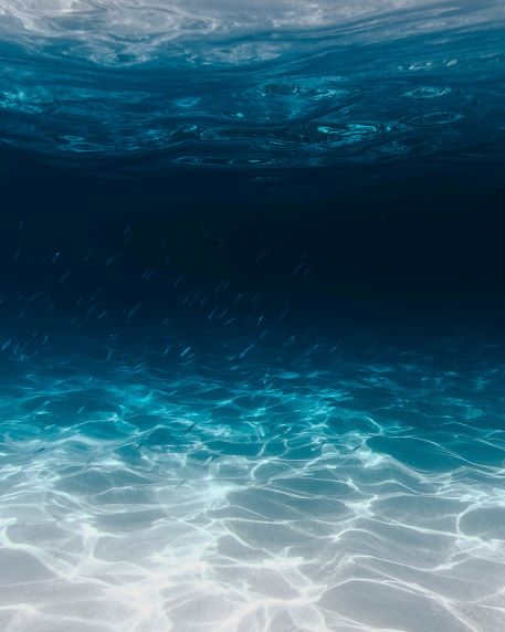 Underwater image of ocean.