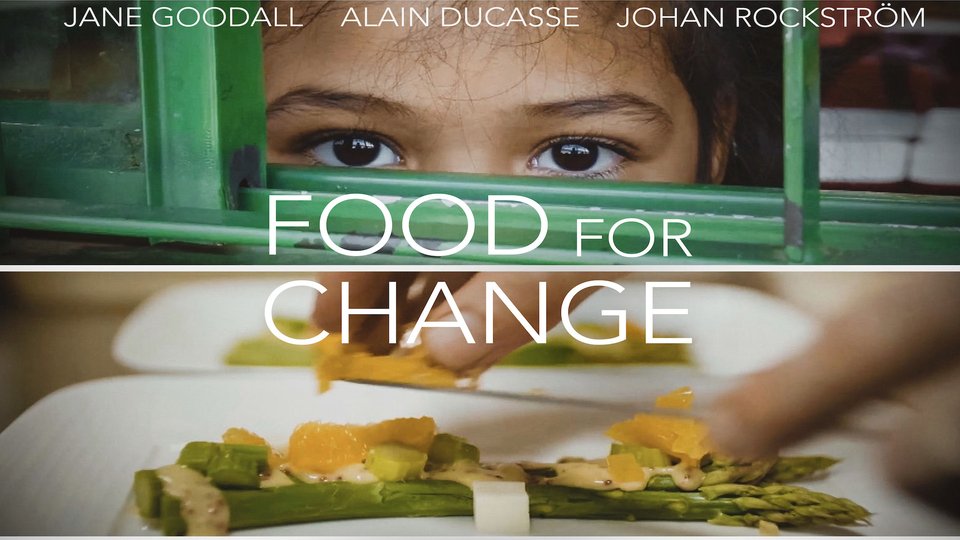 Movie poster for "Food for Change"
