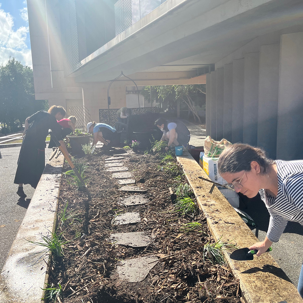 Image of Business School Community Garden