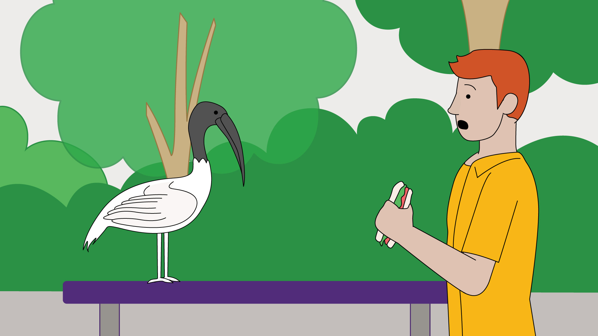 Cartoon friendly ibis on campus