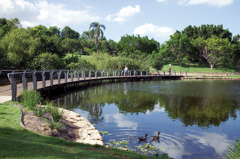 View of lake with ducks and walkway