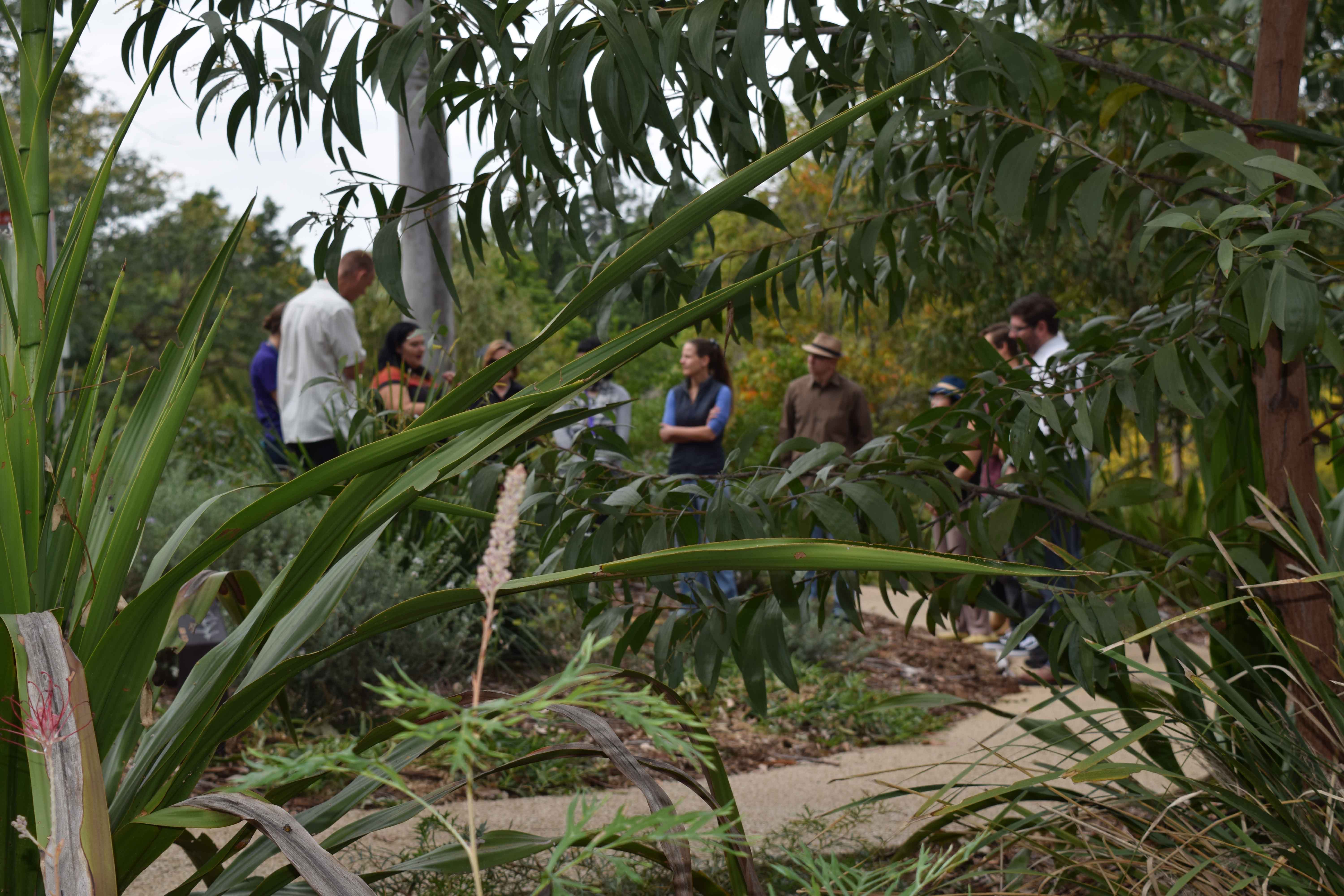people standing in bush tucker garden