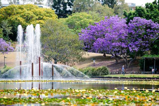 UQ Lakes fountain and sprays aerating the water supply