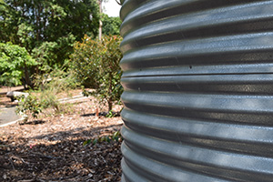 Rainwater tank in garden with native plants