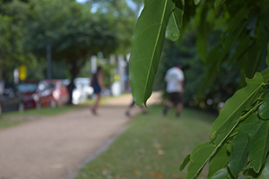 Walkers on UQ John Oxley walk