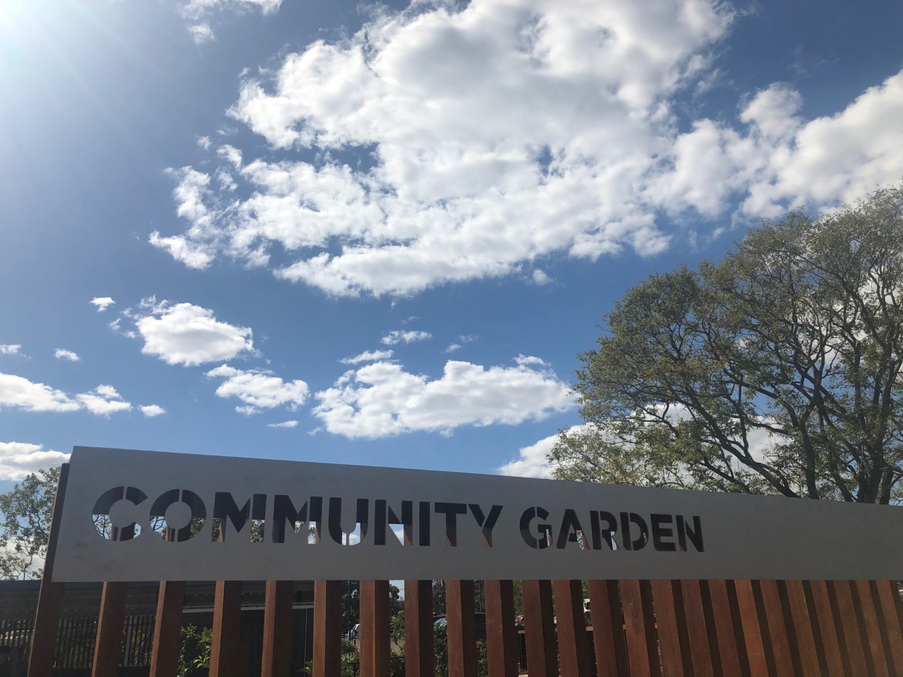 Vegetables and flower plots at Gatton Community Garden