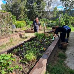 Image of Michael, Community Garden Coordinator, supervising working bee session.