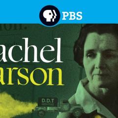 Movie poster featuring image of Rachel Carson