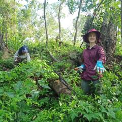GAP volunteers weeding