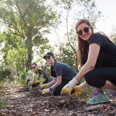 Students planting seedlings