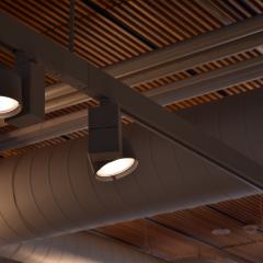 Spotlight lamps