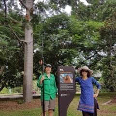 Nesting boxes on UQ St Lucia campus