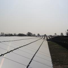 Solar panels at Gatton