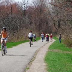 cyclist