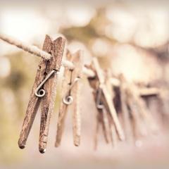 clothesline pegs