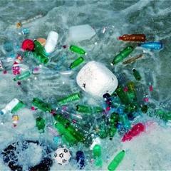 Plastics floating in the Oacific