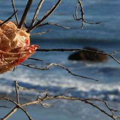 Plastic waste on the beach