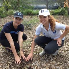 Two women planting trees