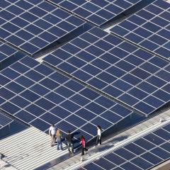 Aerial view of rooftop solar panels