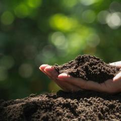 Photo of hand holding soil