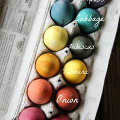 Eggs in a carton dyed with natural dyes
