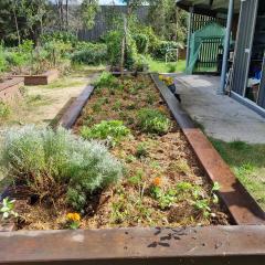 Image of one of the garden beds at the St Lucia community garden