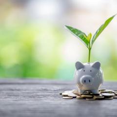 Image of piggy bank with plant growing on its back sitting on top of a pile of coins.