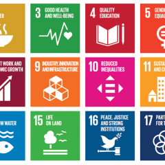 Image of all 17 UN SDGs