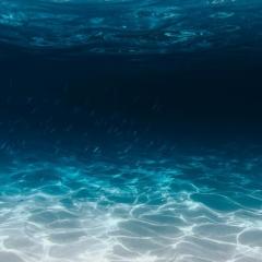 Underwater image of ocean.